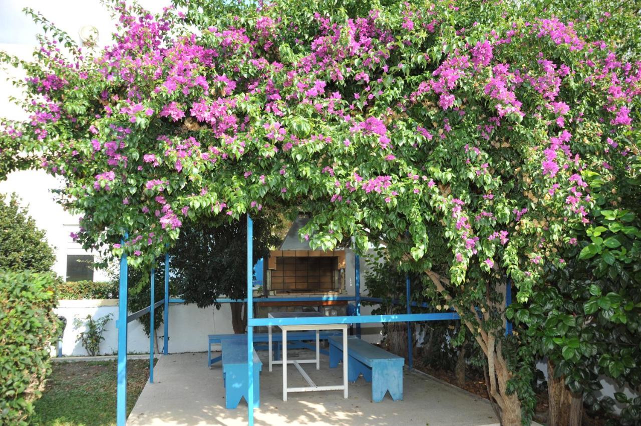 Litsas Studios Fanes  Ngoại thất bức ảnh